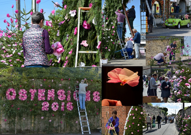 Aixe-sur-Vienne, Ostensions 2016, la préparation et les fleurs